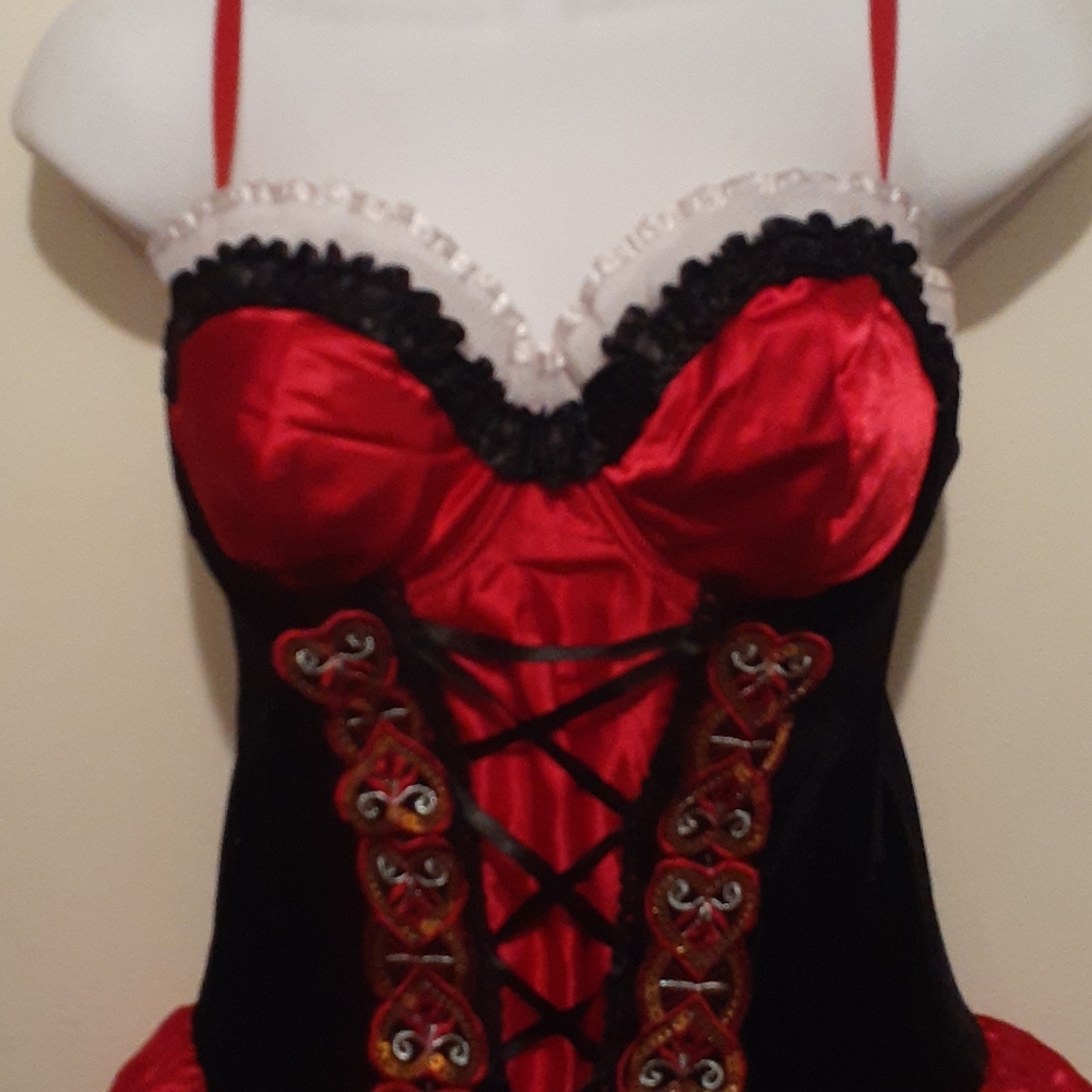 Costume - Picture 3 of 9